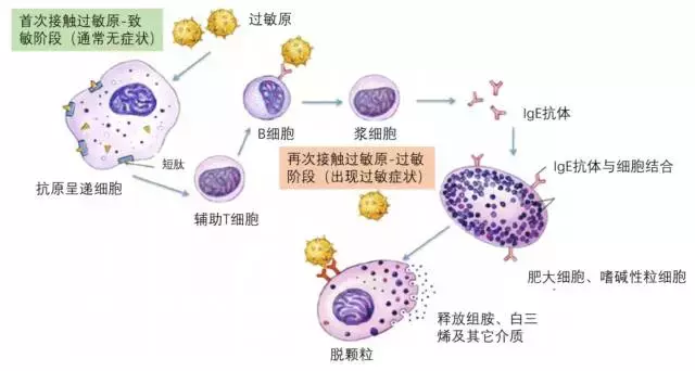 这种过敏原检测不靠谱！孩子咳嗽腹泻，也是过敏症状？