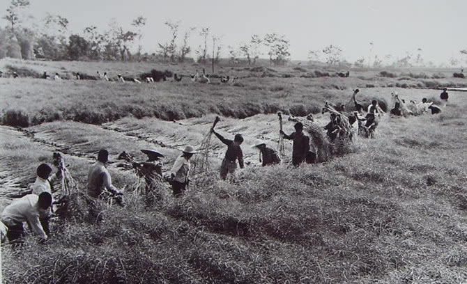 民国农村奇案：新婚银匠夫妻引发连环凶杀，真相错综复杂扑朔迷离