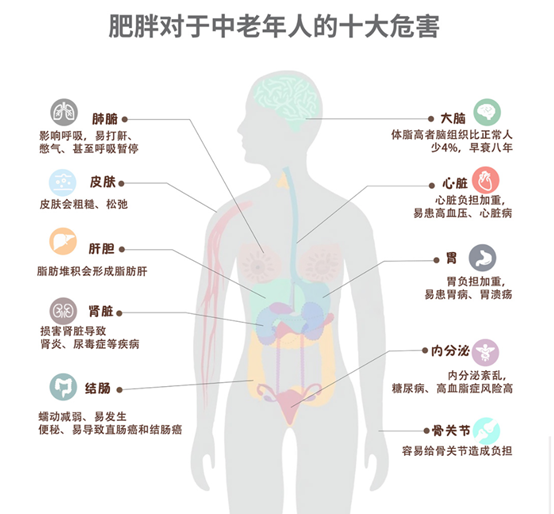 体脂秤怎么选！华为、小米、云曦外观、精准度、体验感大比拼