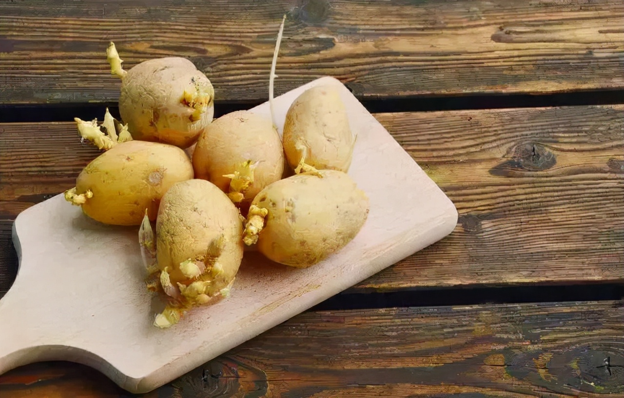 食物发芽了还能不能吃？大家对于该类食物的认知，要更加全面