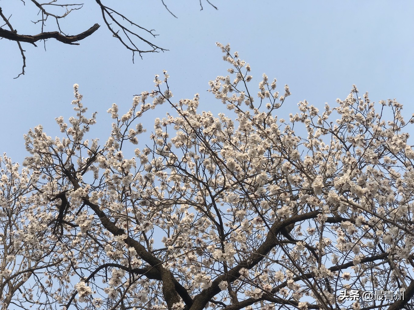 山东省青州古城旅游景点有哪些_青州古城景区门票 - 密云旅游