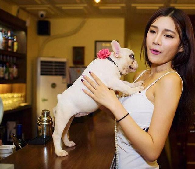 这几种小型犬可不是“白眼狼”，给它一口吃的，就会跟你一辈子