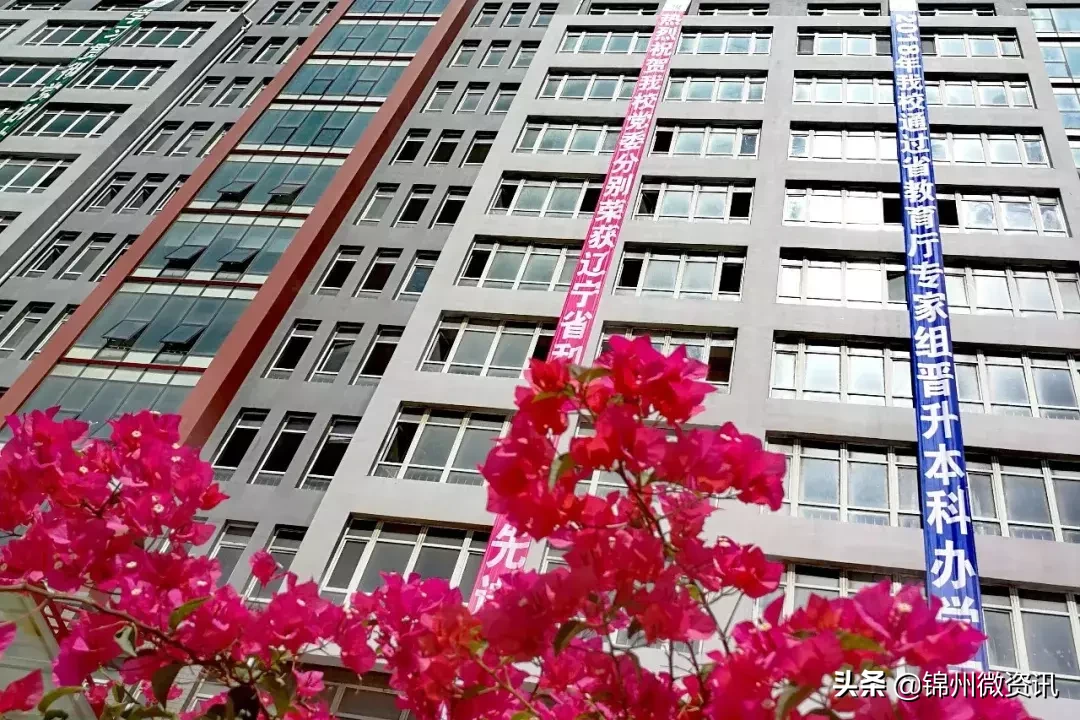 辽宁理工职业学院南校区地图攻略