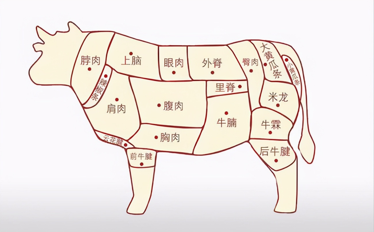 常见的肉类很多,除了猪肉和羊肉以外,牛肉也是非常受欢迎的肉类.