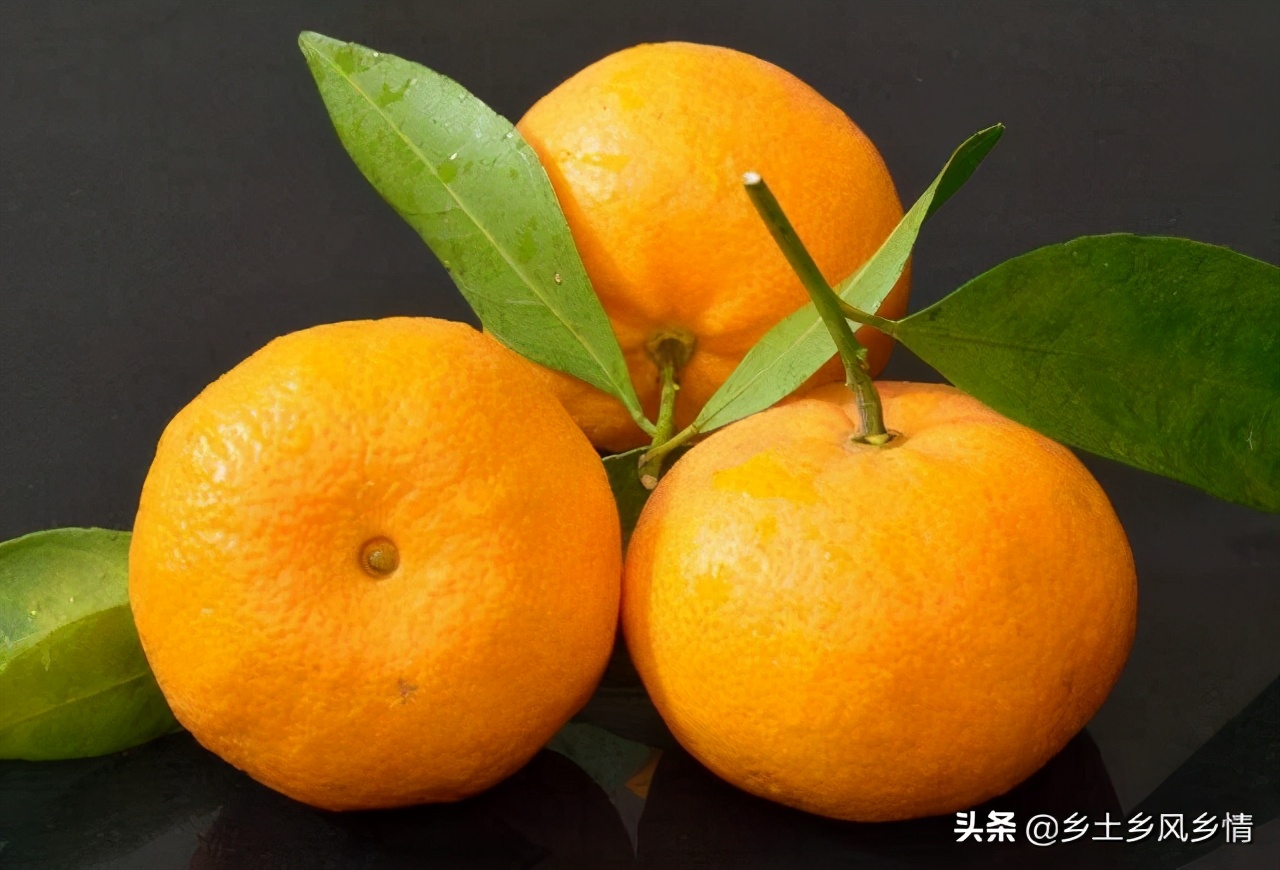 沃柑和橙子的区别哪个好一点(沃柑和橙子哪个营养价值更好)