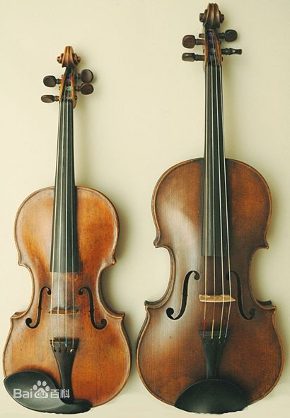 低音提琴和大提琴的区别，低音提琴和大提琴的区别有哪些？