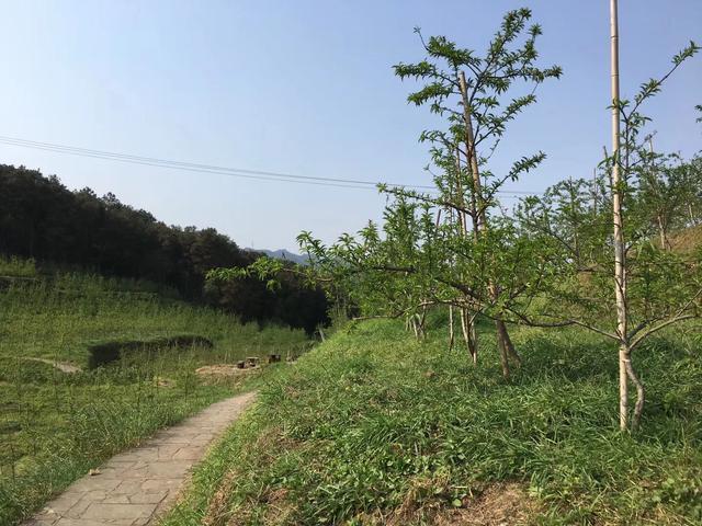 重庆沙坪坝近郊最佳半日游之“重庆小九寨”虎峰山游记