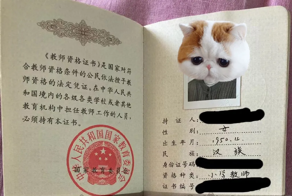 教师资格证编号查询,教师资格证编号查询入口官网