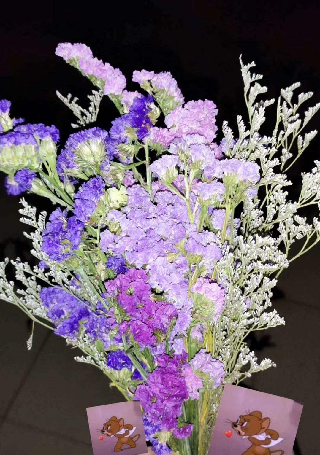 花草的图片大全（100种常见花图鉴一览表）