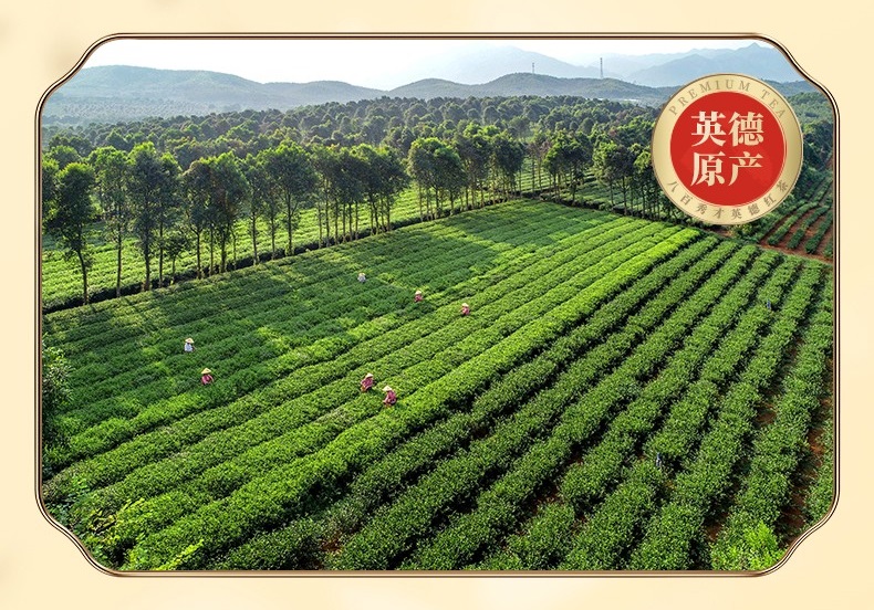 「买2送1」|英皇室御用英德红茶英红九号惠卖,仅限8月4日当天