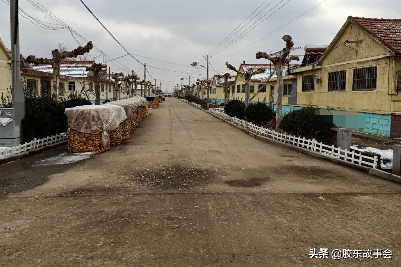 莱西甲第世家在哪里(青岛莱西有个“果佳圈”村，名字有特点，底蕴也很深厚)