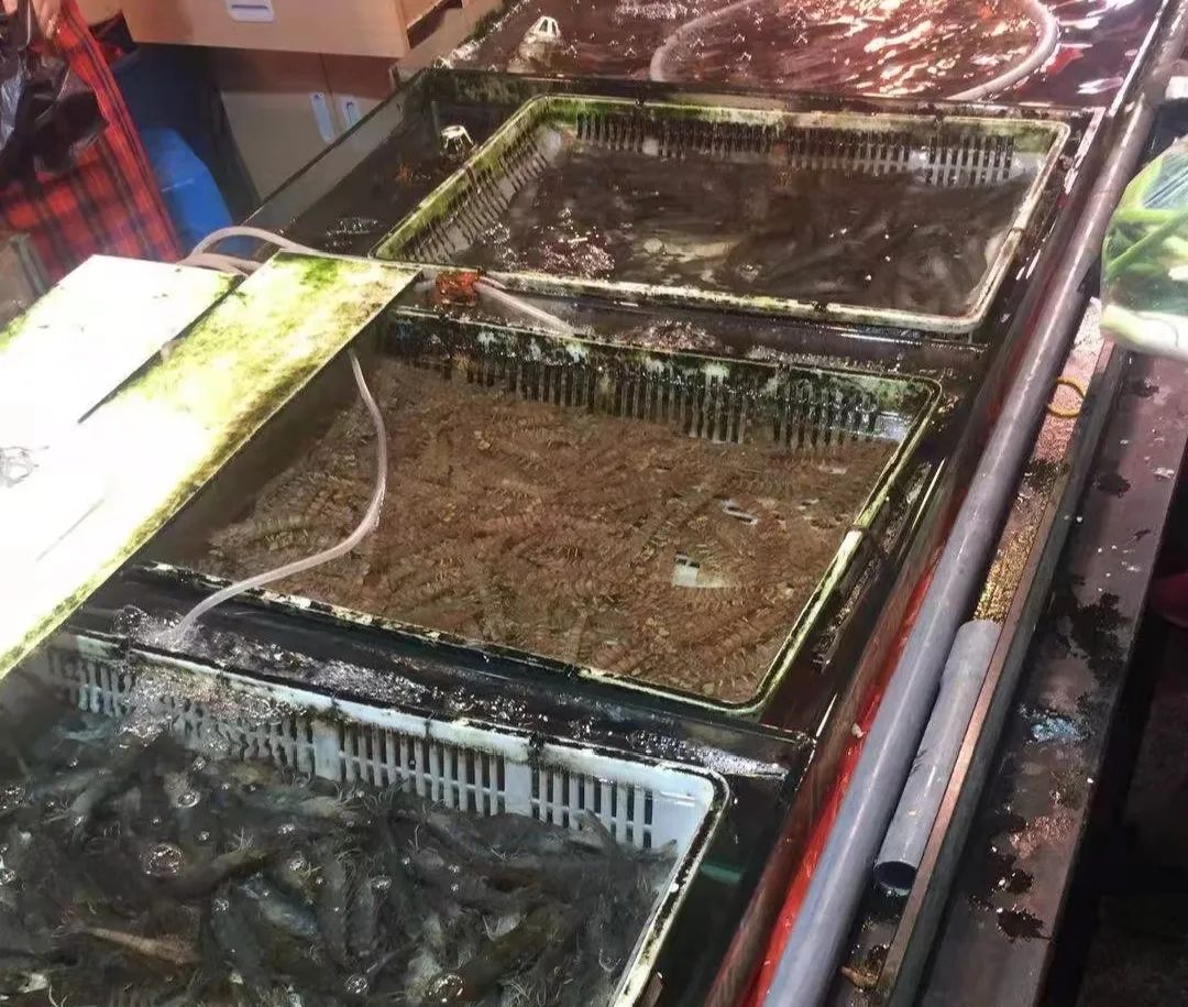 要智慧，也要烟火气——台州农贸市场升级经典五化案例回顾