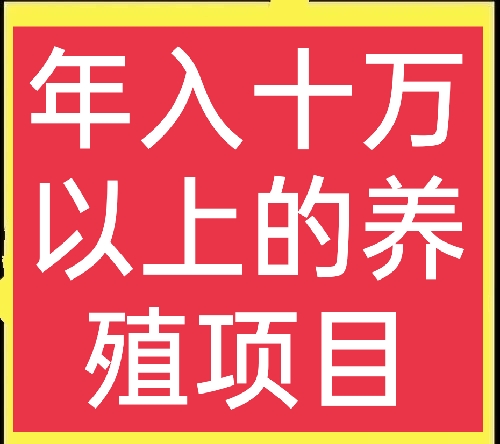 六个特种养殖项目，轻松发家致富，想学习的别错过