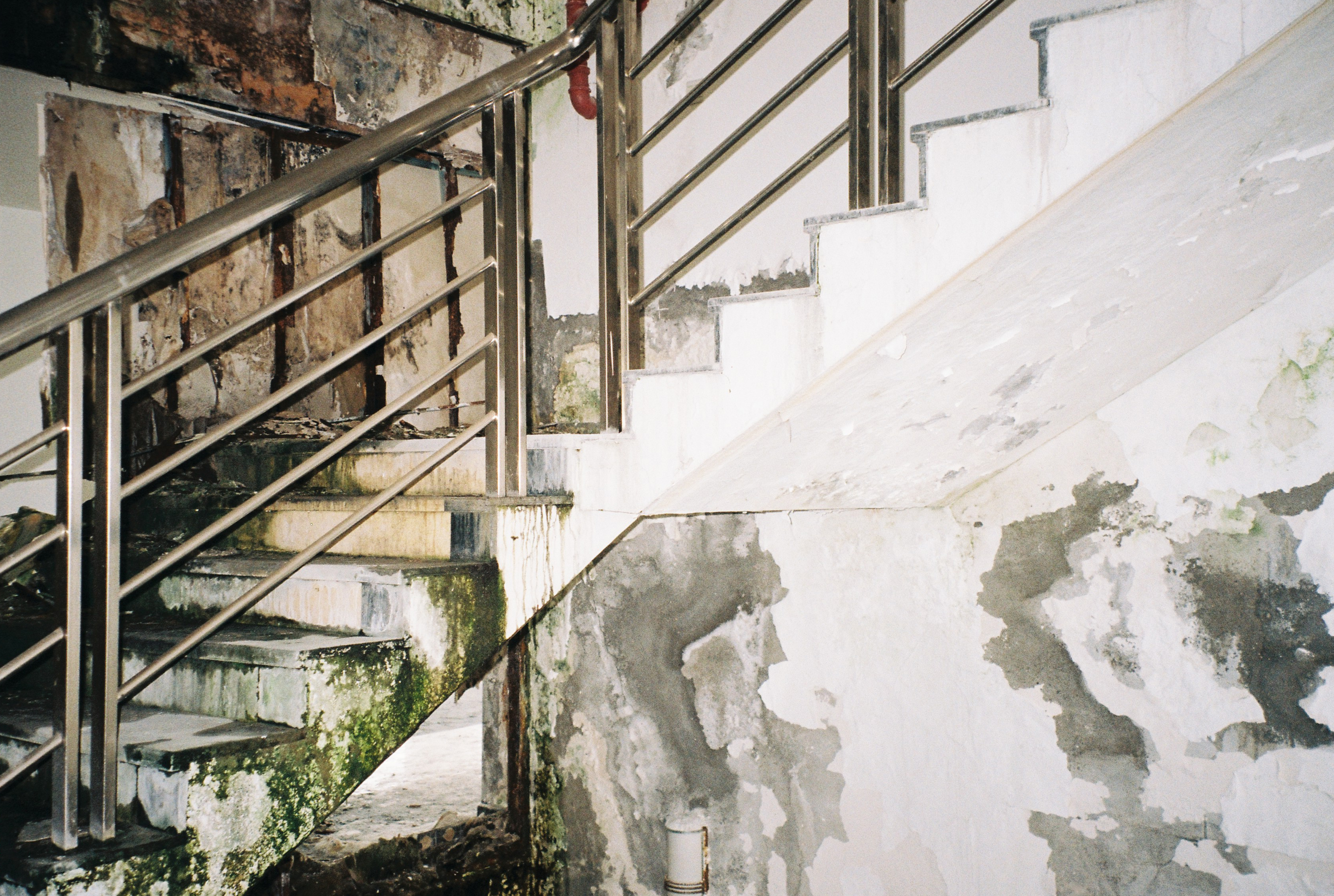上海味道 |消逝的复旦大学太平洋金融学院