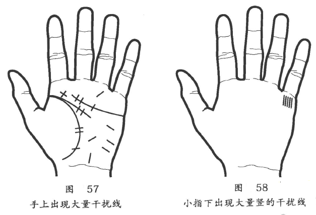 手掌中密密麻麻都是细纹称为干扰线也叫障碍线，反映近期身体状况