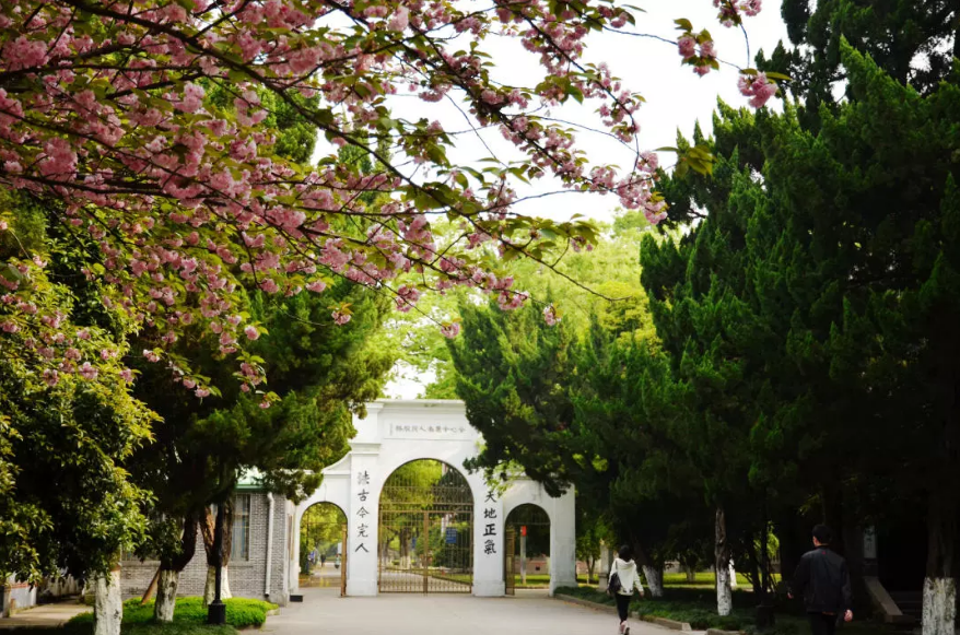 神仙颜值！苏州大学“最美校花”高清大图曝光！总有你喜欢的那一款