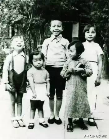 重读梁从诫《我的母亲林徽因》，支持和理解并深深热爱