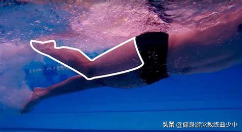 自由泳腿还打不起来？髋关节灵活性了解一下