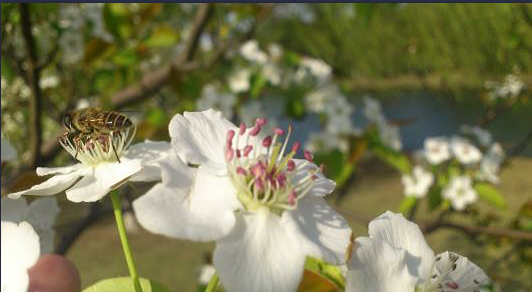 浙江大学2016-2018录取分数线