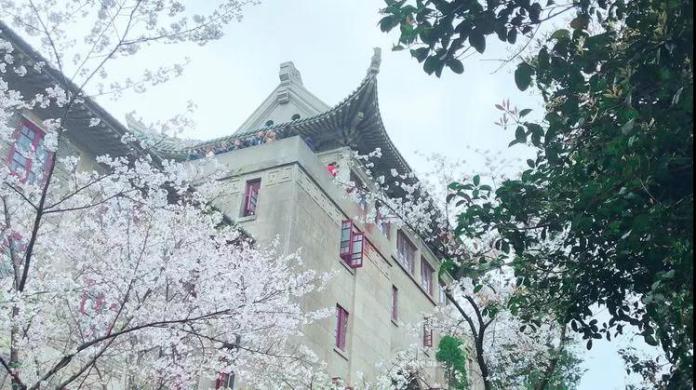 117个本科专业，招生7200人，武汉大学2019招生政策还有这5大亮眼变化