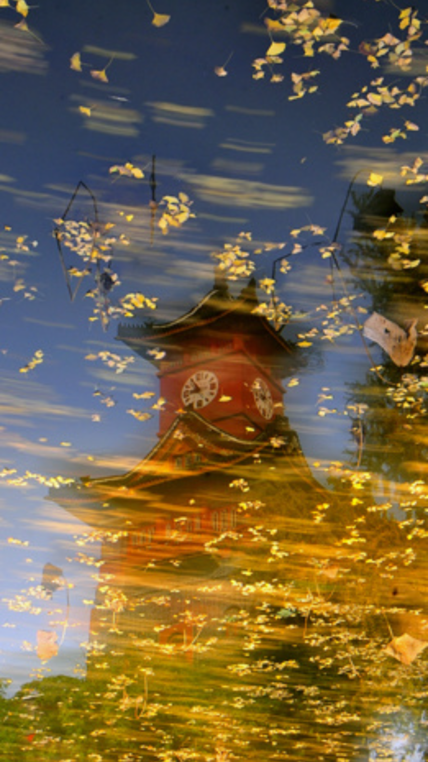 你的理想大学，终于被做成了手机壁纸