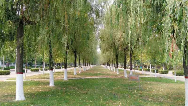 占地5700亩，坐拥四大校区、24个食堂！这可能是河南最“壕”的大学了！