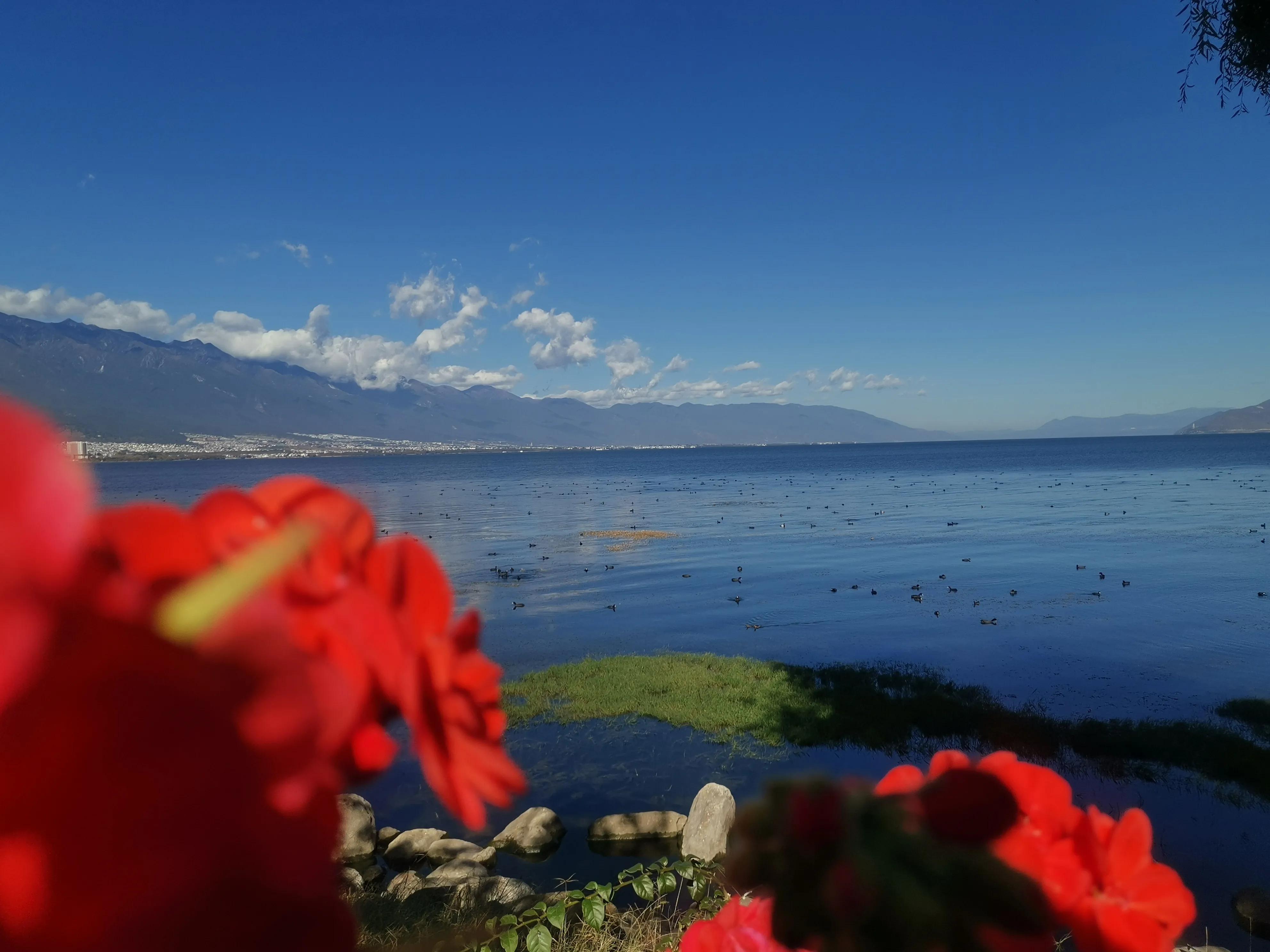 苍山月影浮云绕，洱海风清碧浪涟