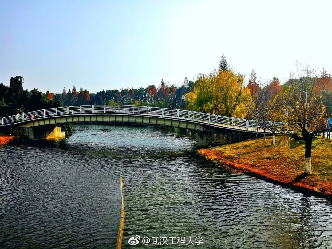 今天520！看完湖北这场