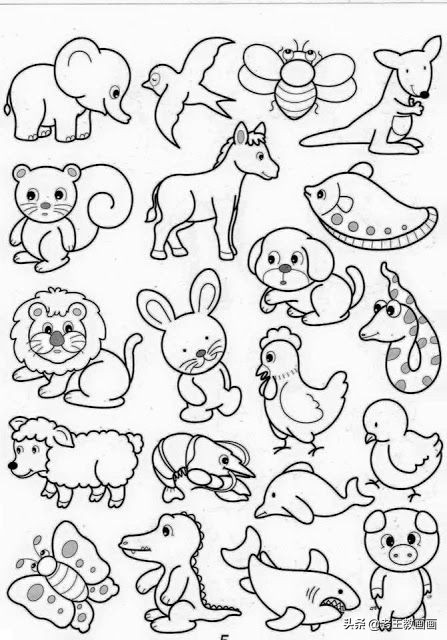 各种小动物的100种画法,简单实用的素材