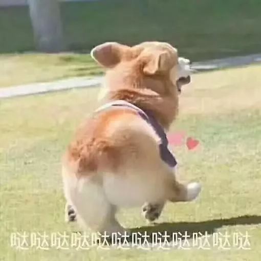 大学毕业论文救命指南，看完一键解决写不出论文大难题