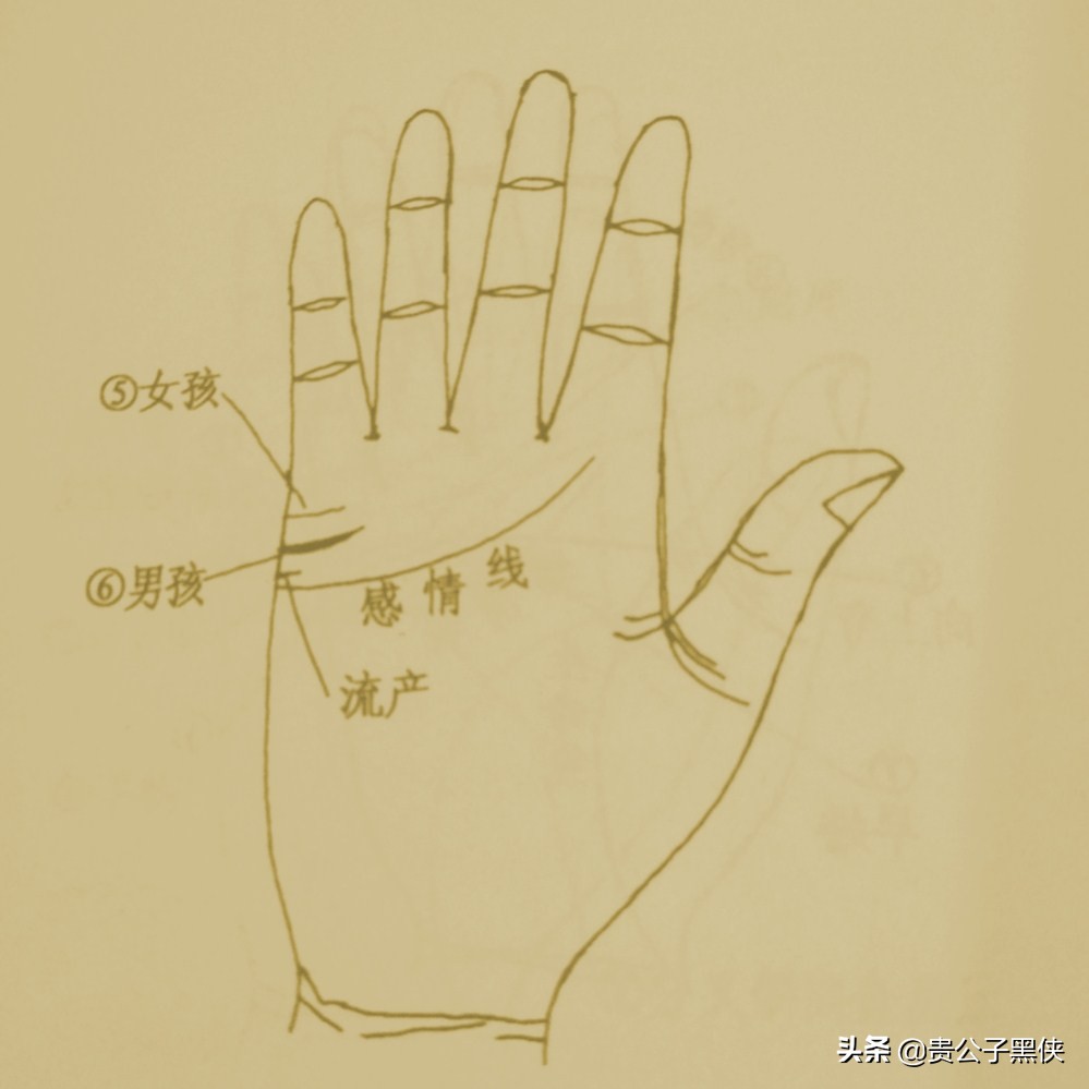 手相感情线分叉,感情线与金星丘相连分析_达一风水网