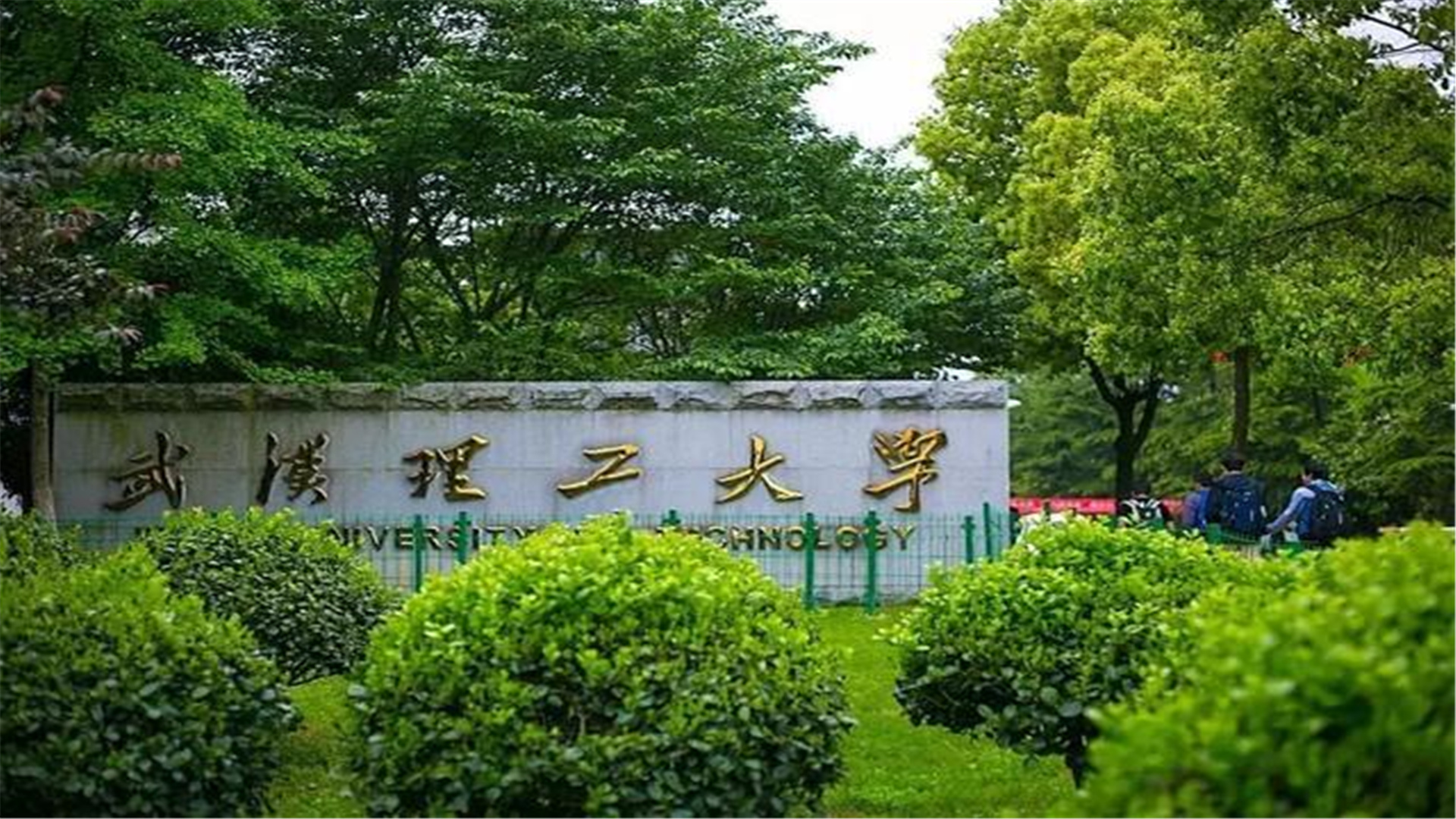 武漢的大學(xué)理科所有錄取線_武漢理工大學(xué)專業(yè)分?jǐn)?shù)線_武漢理工大學(xué)的專業(yè)分?jǐn)?shù)線