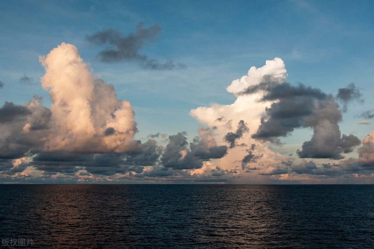 论高考外语改革中外语界的“失语”和“缺位”