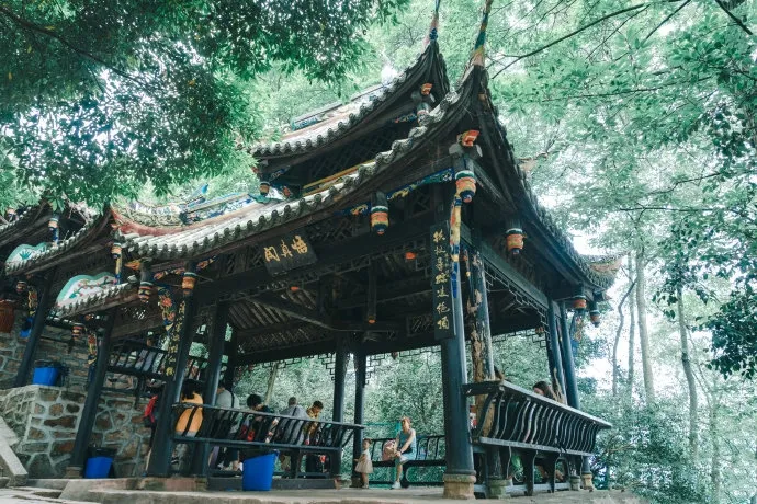 清明去哪儿？成都出发9条线路，踏青赏花逛古镇，采茶逗鹿看石刻