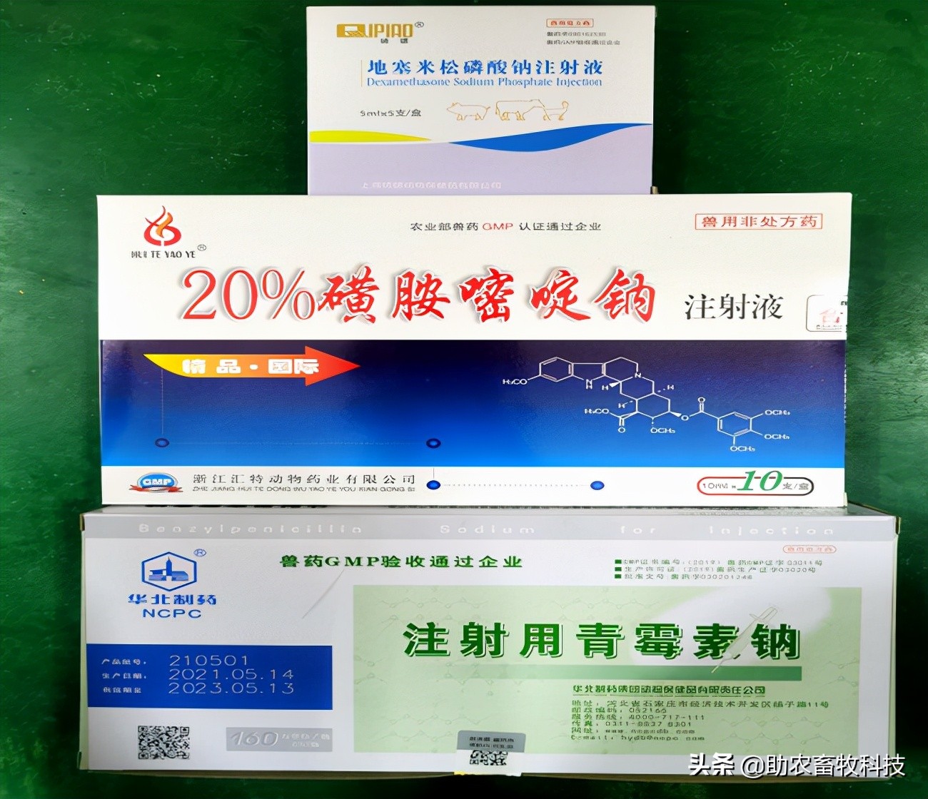 猪场10种常见疾病的症状以及用药防治方案