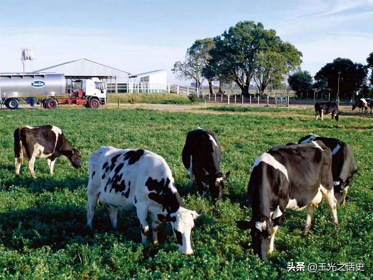 关于阿根廷世界杯命运(马拉多纳赢得了世界杯，而阿根廷却输掉了马岛)