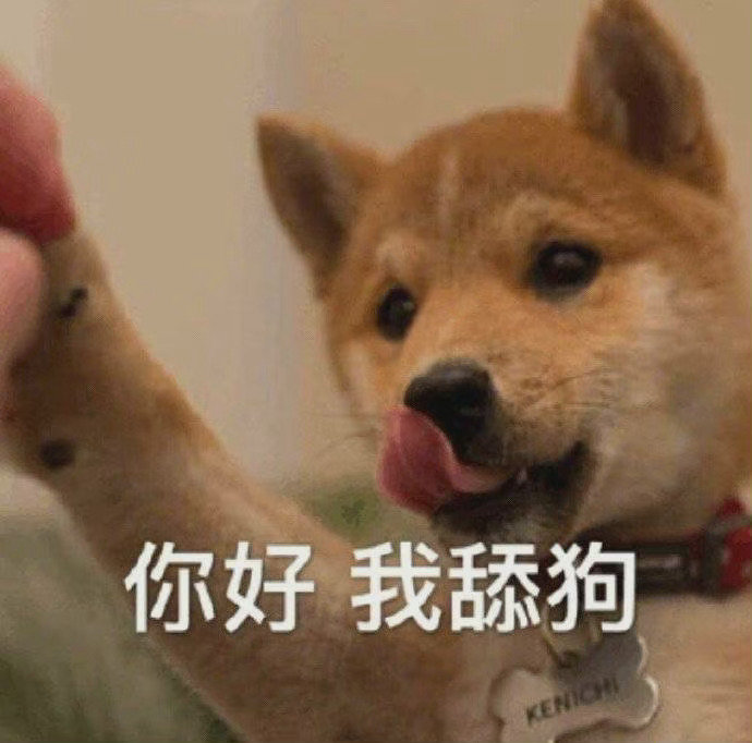 分享：「终极舔狗」语录