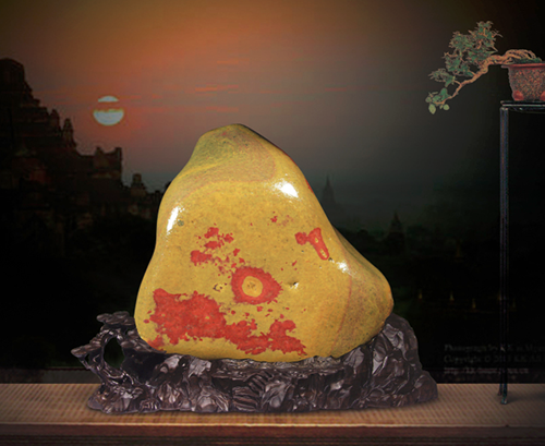 这种从盛产黄金的河里捞出的石头,石皮金黄且内有发光颗粒!