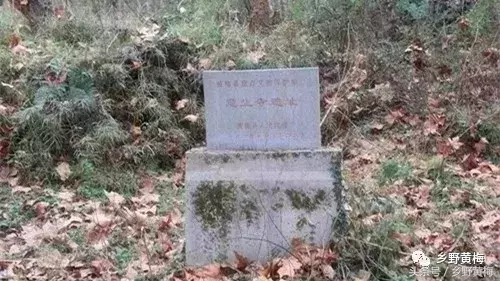 空山新雨黄梅意生寺║叶晶晶