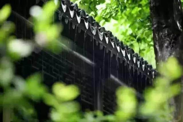 80句绝美诗词：世间最美的风景，都在古人的诗里