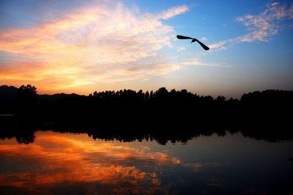 80句绝美诗词：世间最美的风景，都在古人的诗里