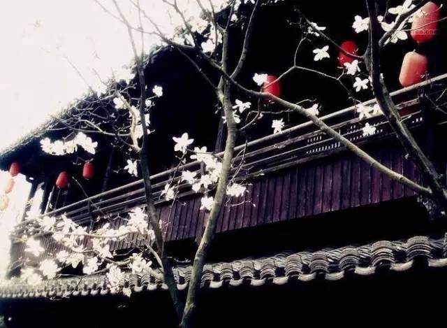 80句绝美诗词：世间最美的风景，都在古人的诗里