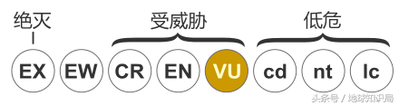 进口海豹，出口连体人，这究竟是一个怎样的时代？地球知识局