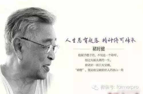 如何通过微信做农产品的推广