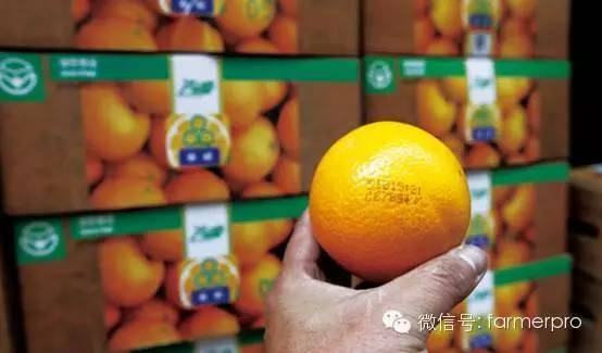 如何通过微信做农产品的推广