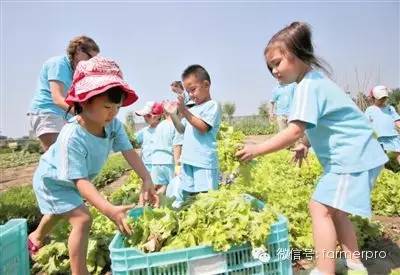 如何通过微信做农产品的推广