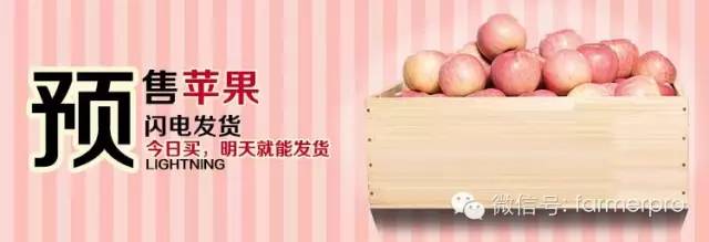 如何通过微信做农产品的推广