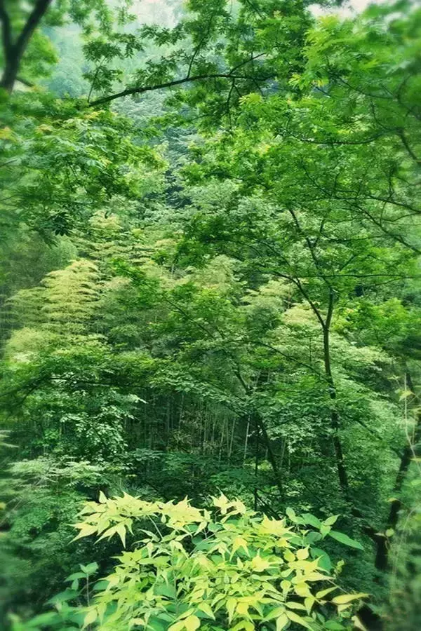 上有老是福,下有小是乐(深刻)
