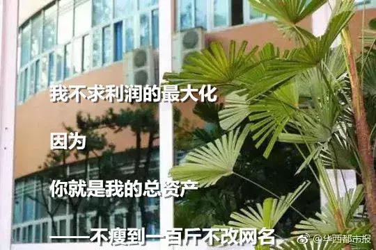 “学霸式”三行情书走红！句子很短，爱你如诗