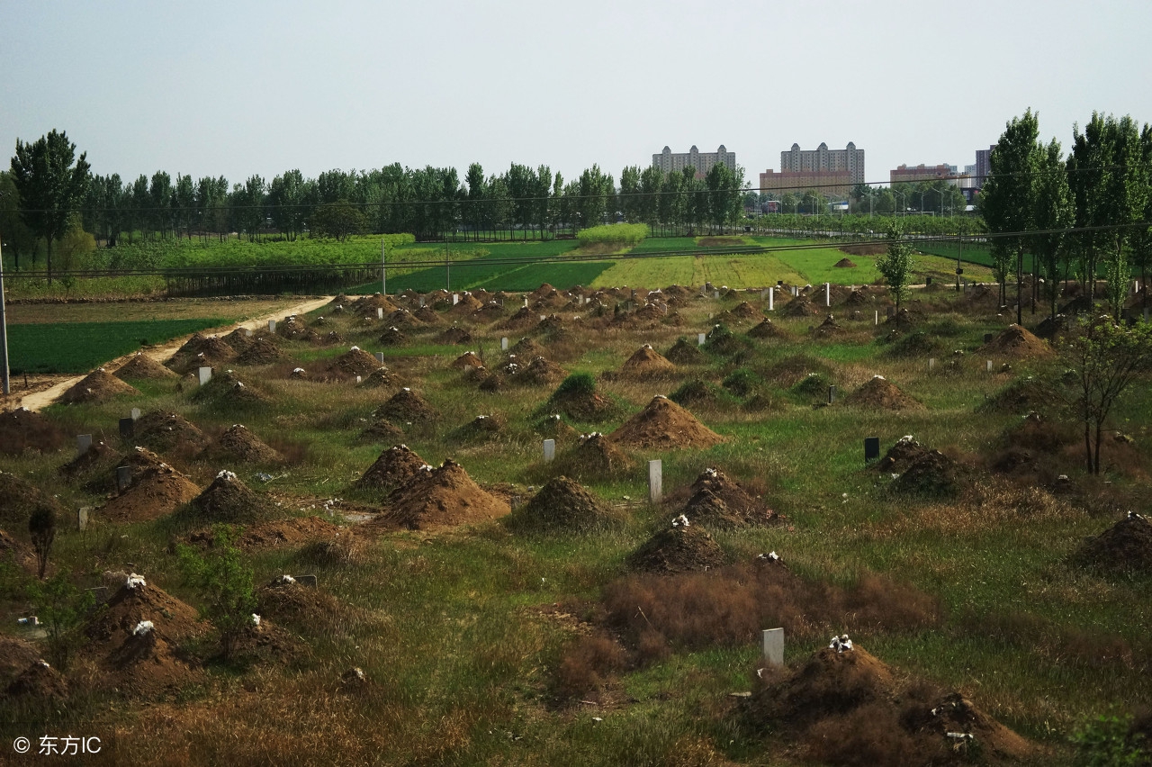 治理农村散埋乱葬